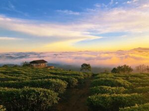 Du lịch Đà Lạt tháng 9 có gì vui chơi giải trí?
