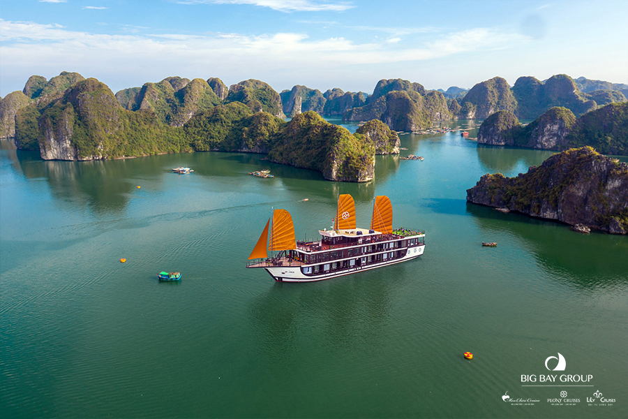 Peony Cruise