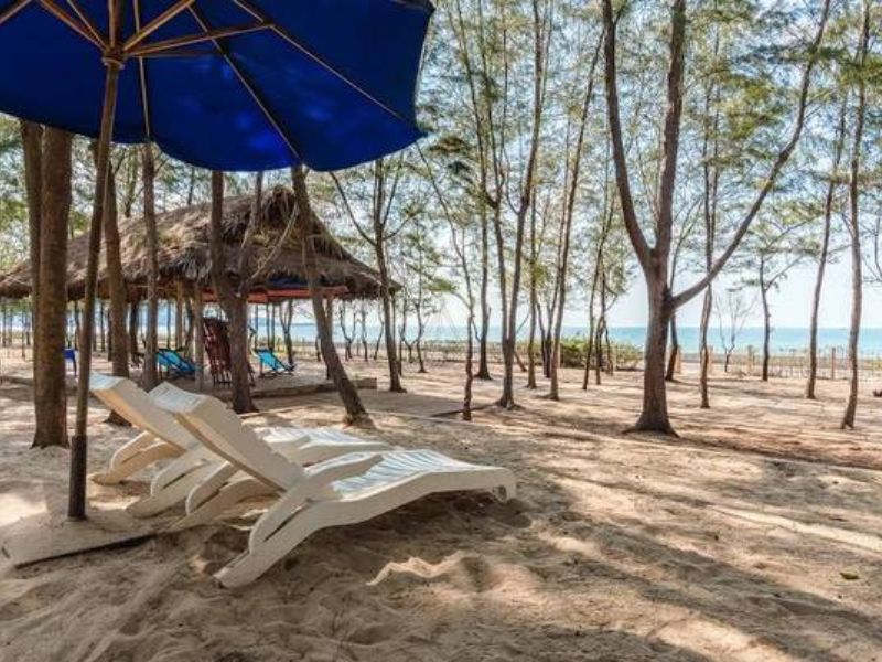 Khu cắm trại Zenna Pool Camp  khu vui chơi giải trí tại Vũng Tàu