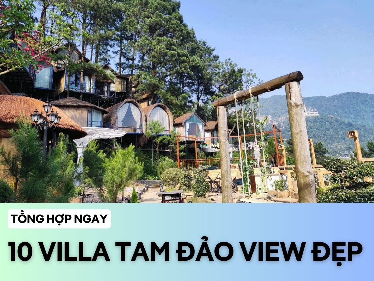 tổng hợp villa Tam Đảo