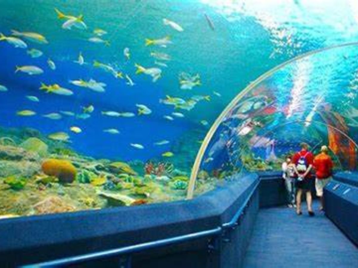 Viện hải dương học Nha Trang-du lịch Nha Trang-phượt từ A – Z