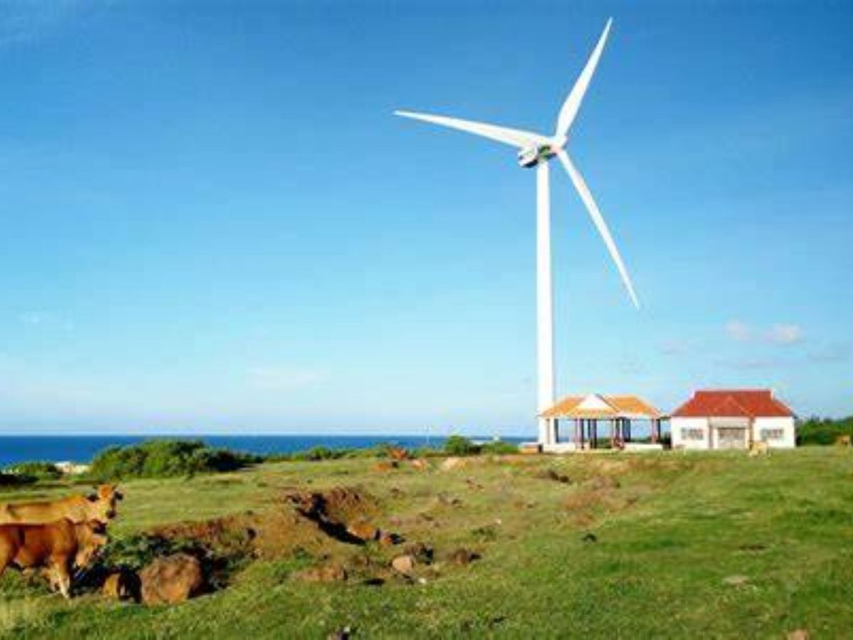 Cánh đồng quạt gió Tuy Phong