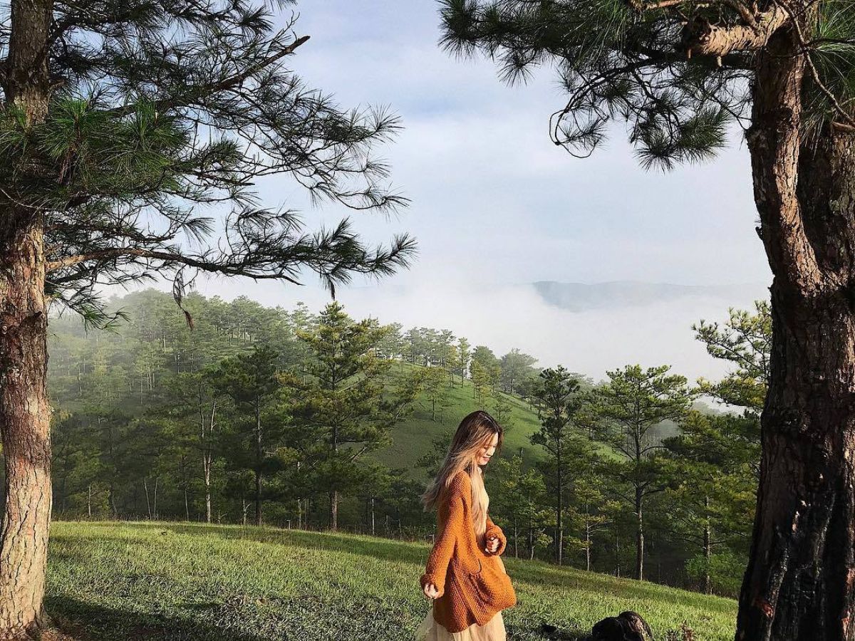 Đồi Robin