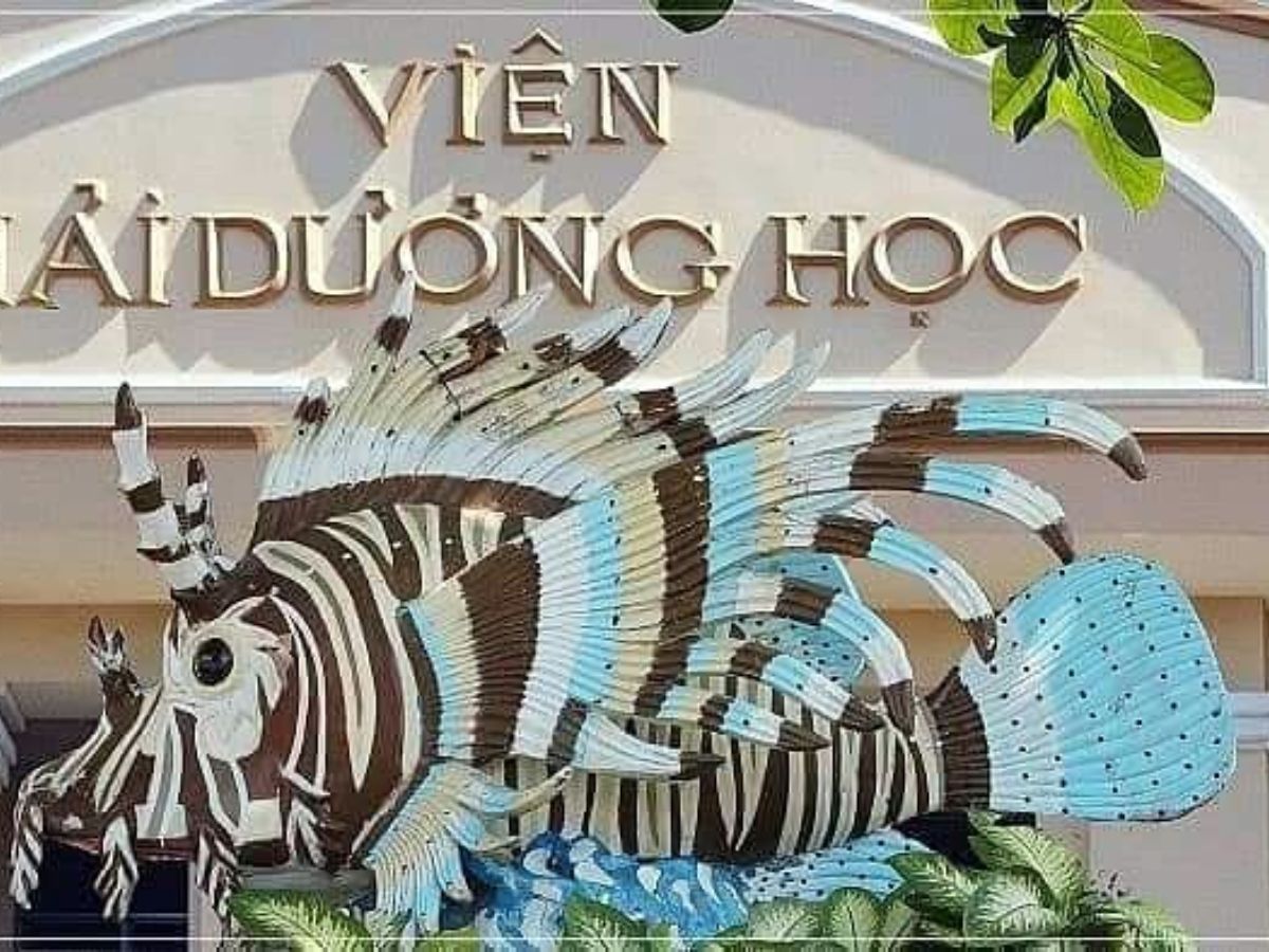 Viện Hải Dương Học Nha Trang-địa điểm giải trí hấp dẫn tại Nha Trang